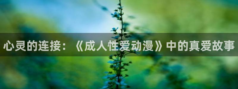 age动漫正版：心灵的连接：《成人性爱动漫》中的真爱故事