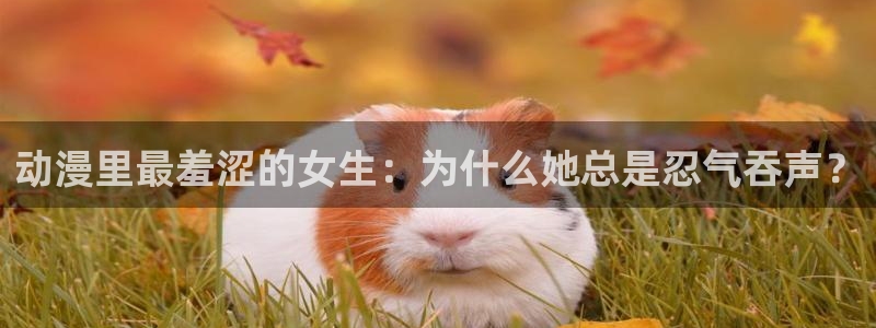 age动漫官网